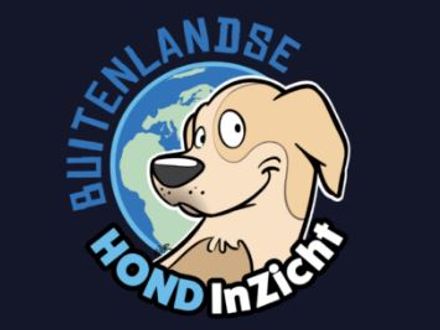 Buitenlandse HOND InZicht
