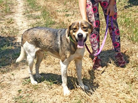 Stop met scrollen en swipe naar rechts voor dé match met Joker
