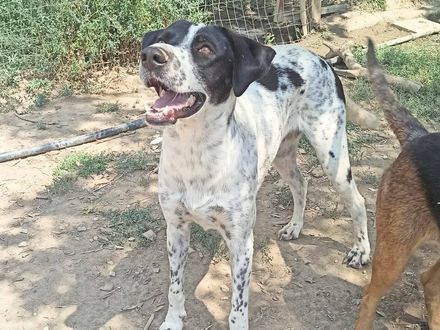  Geen stress, geen drama – gewoon Leon, puur geluk