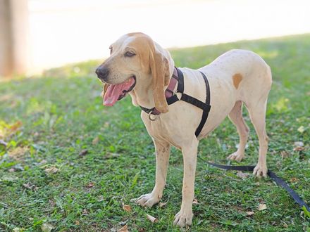 Jessy – van vergeten naar geliefd!