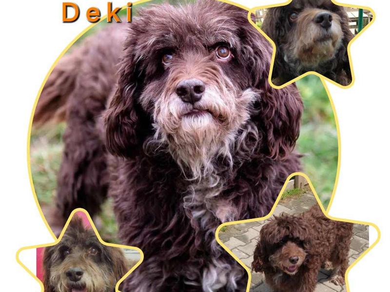 Deki