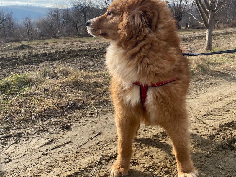 LUCA (eigenlijk te lief voor deze wereld!) 