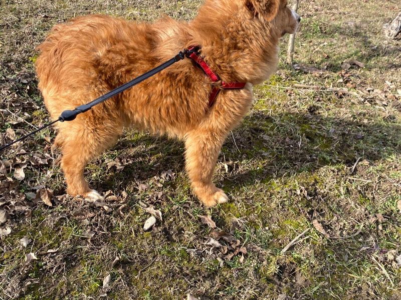 LUCA (eigenlijk te lief voor deze wereld!) 