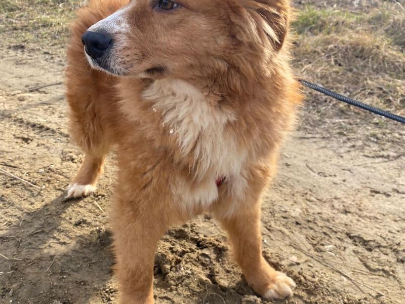 LUCA (eigenlijk te lief voor deze wereld!) 