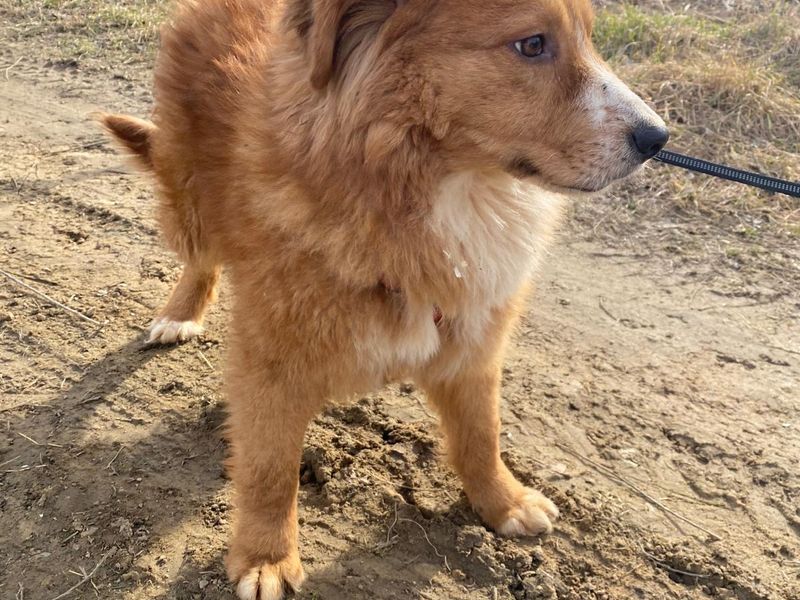 LUCA (eigenlijk te lief voor deze wereld!) 