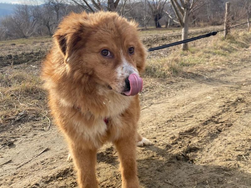 LUCA (eigenlijk te lief voor deze wereld!) 