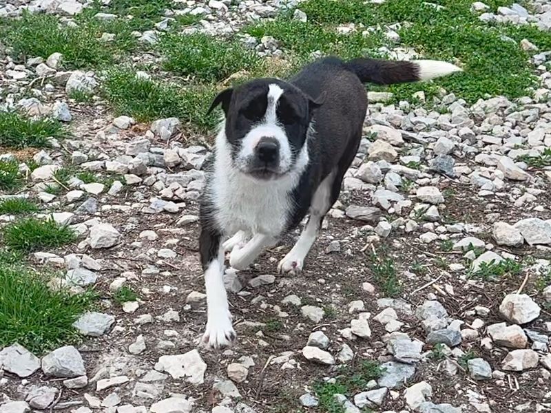 Robin zoek een warm mandje