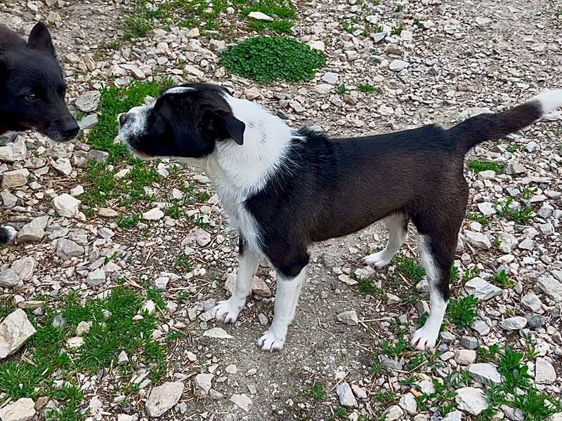 Robin zoek een warm mandje