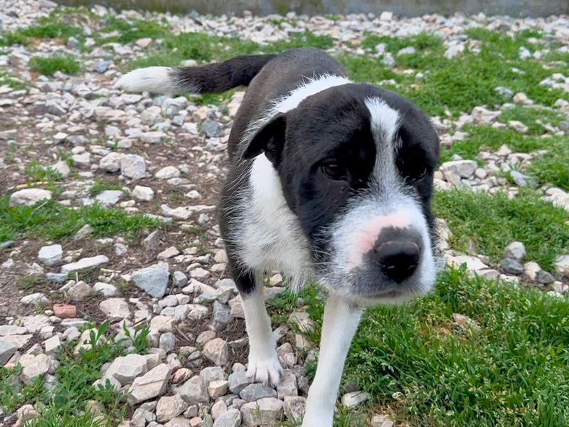 Robin zoek een warm mandje