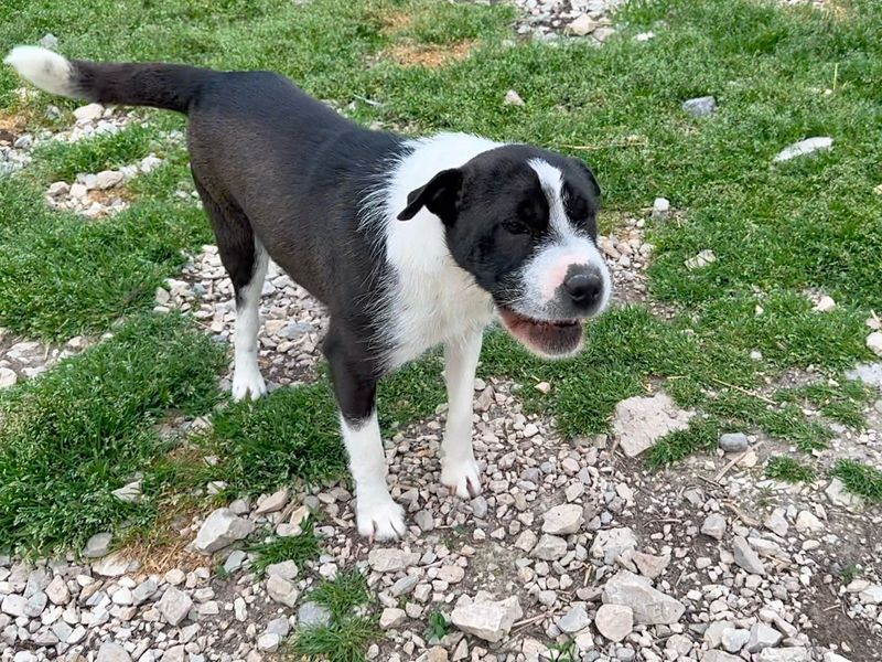 Robin zoek een warm mandje