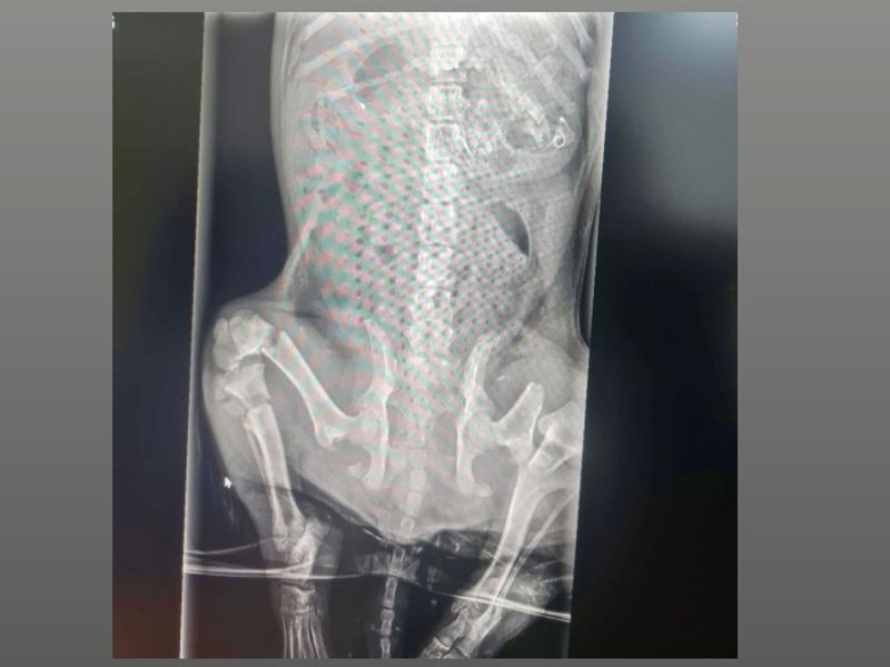 Simon *Gereserveerd*