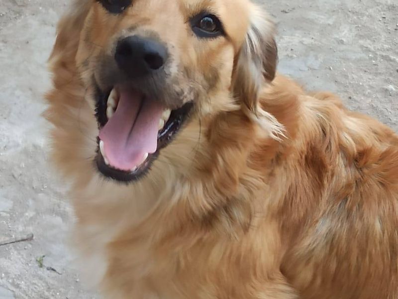 Familie vriend Bible zoekt vrienden voor het leven