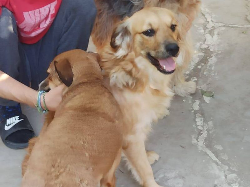 Familie vriend Bible zoekt vrienden voor het leven