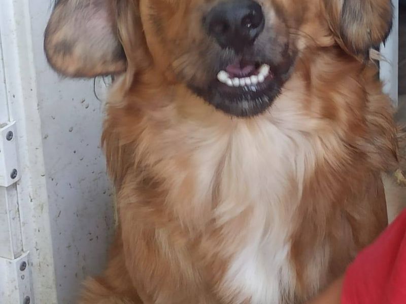 Familie vriend Bible zoekt vrienden voor het leven