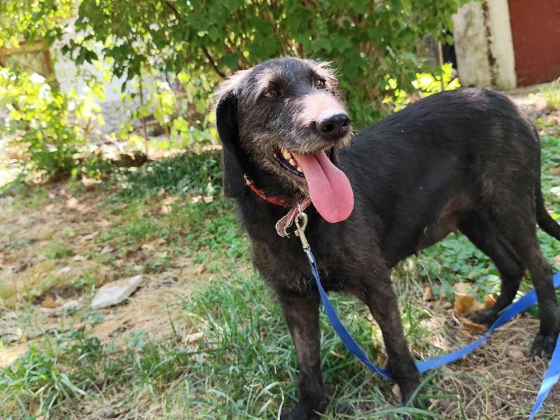 Zachtaardig schat Nata op zoek naar een gouden mandje
