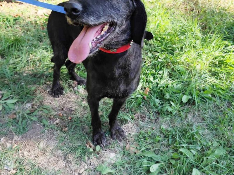 Zachtaardig schat Nata op zoek naar een gouden mandje