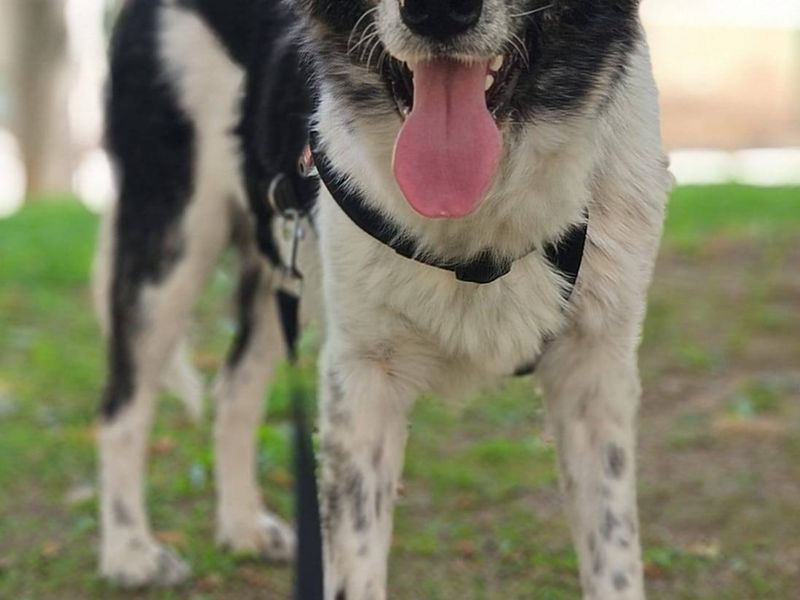 Griekse Adonis Ermis zoekt fijn gezin. 