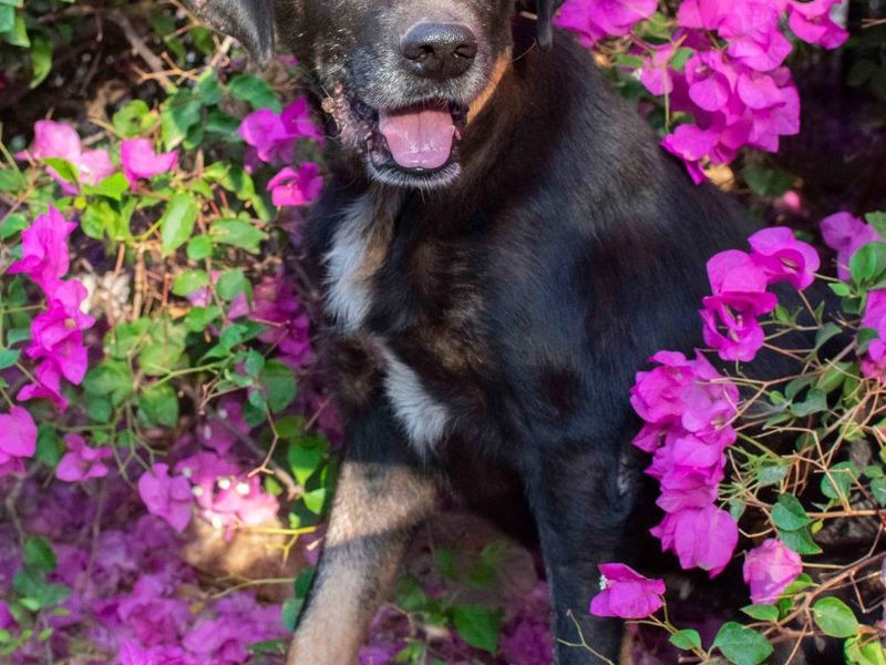 Senior Menios is op zoek naar zijn geluk