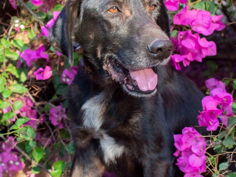 Senior Menios is op zoek naar zijn geluk