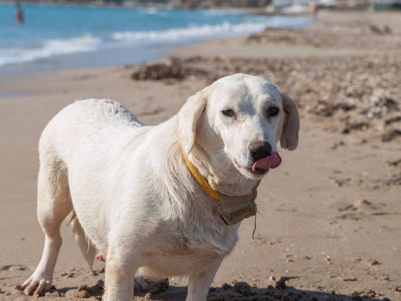 Ellie zoekt haar VIP-plek: knuffels, rust en een beetje avontuur!