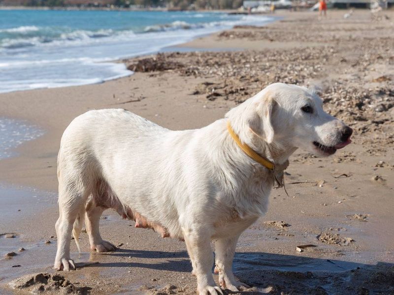 Ellie zoekt haar VIP-plek: knuffels, rust en een beetje avontuur!