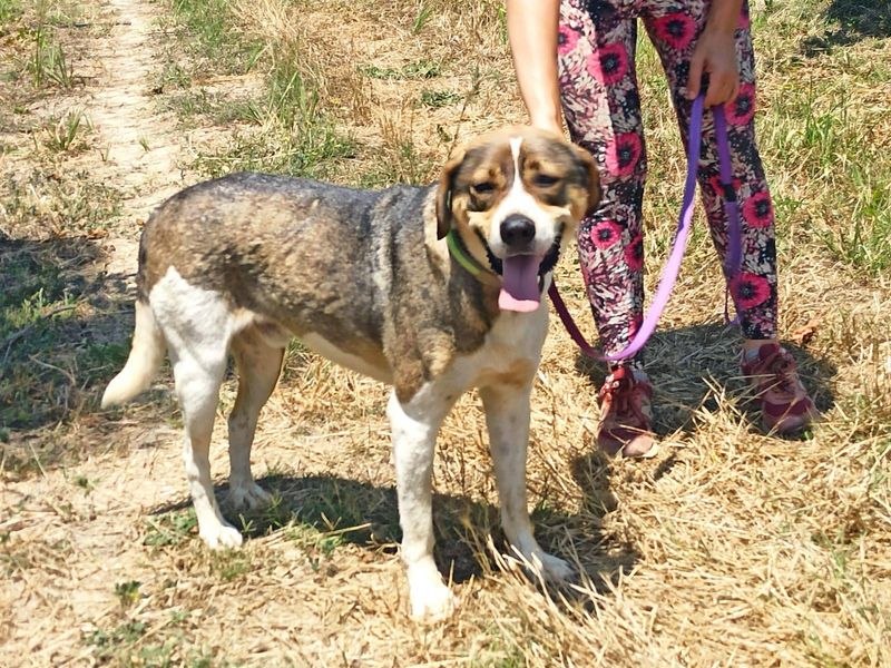 Stop met scrollen en swipe naar rechts voor dé match met Joker