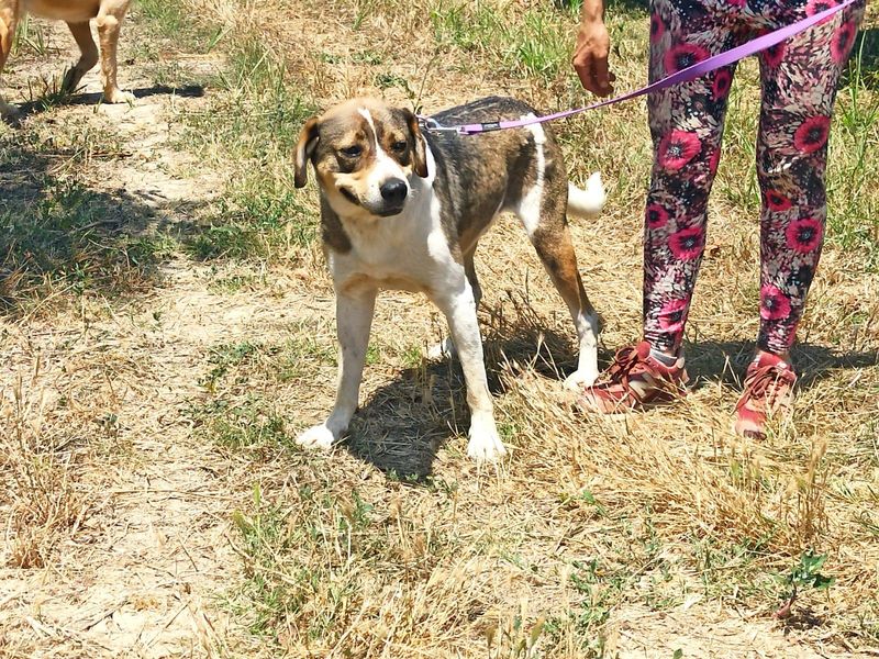 Stop met scrollen en swipe naar rechts voor dé match met Joker