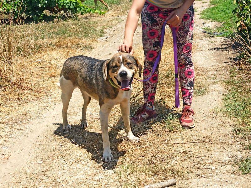 Stop met scrollen en swipe naar rechts voor dé match met Joker