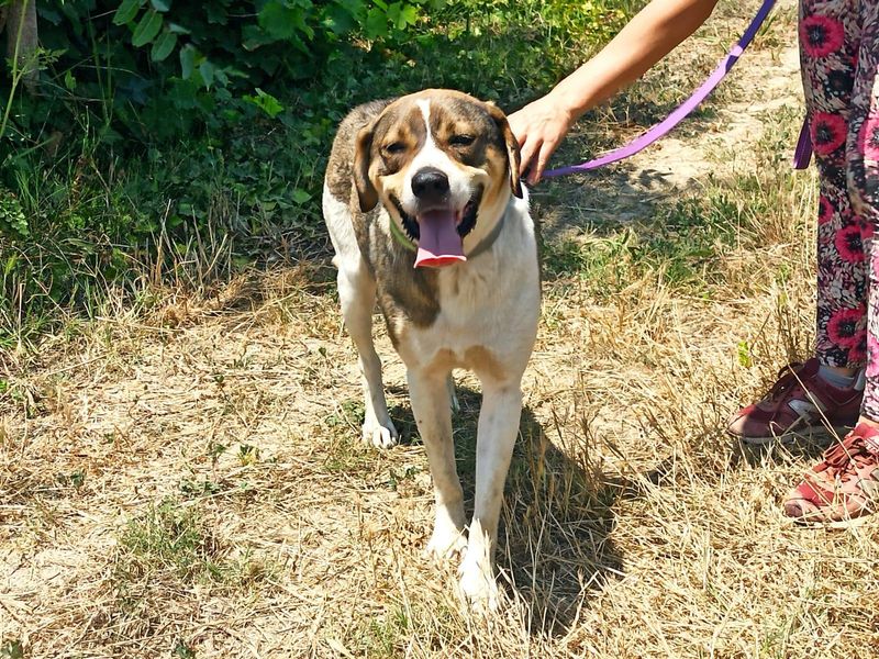 Stop met scrollen en swipe naar rechts voor dé match met Joker