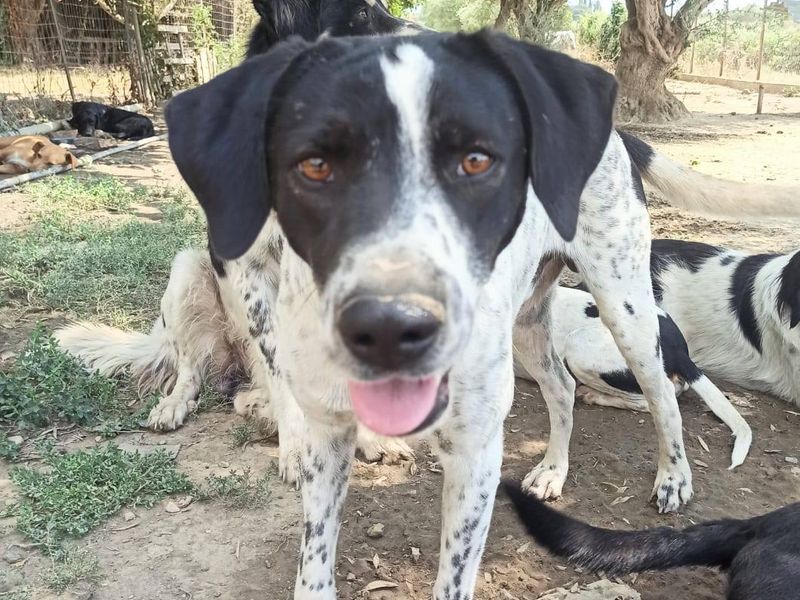  Geen stress, geen drama – gewoon Leon, puur geluk