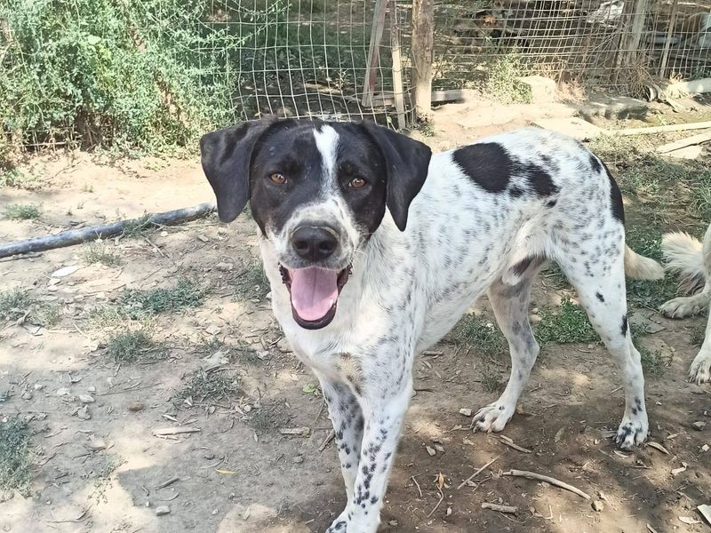  Geen stress, geen drama – gewoon Leon, puur geluk