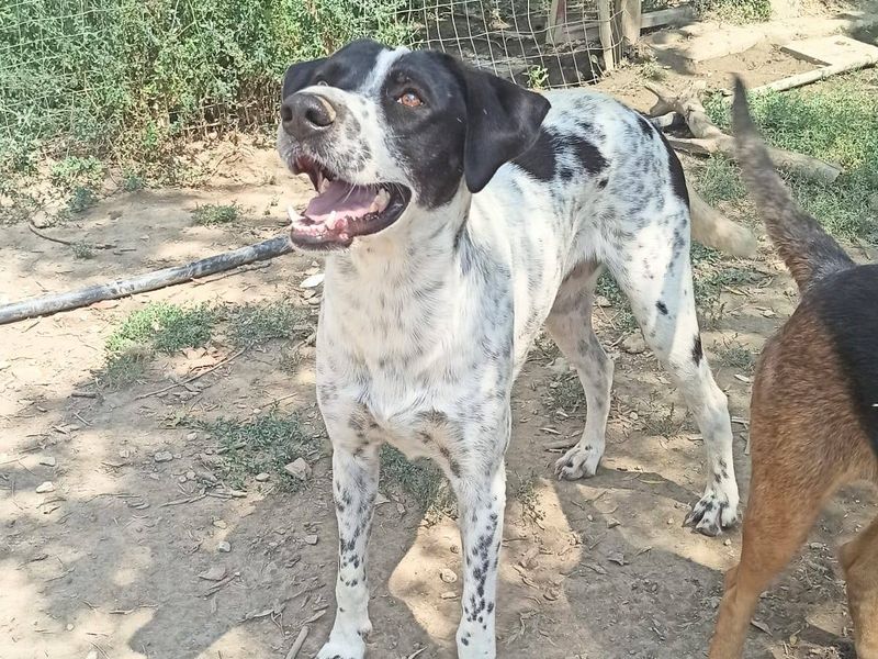  Geen stress, geen drama – gewoon Leon, puur geluk