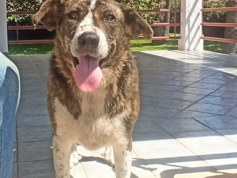 Dappere Myrtali vraagt een beetje aandacht en veel liefde