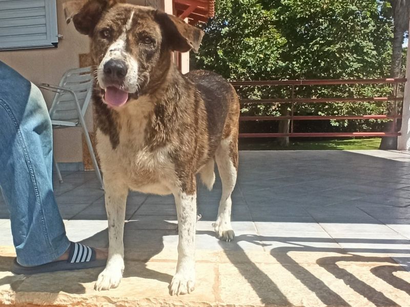 Dappere Myrtali vraagt een beetje aandacht en veel liefde