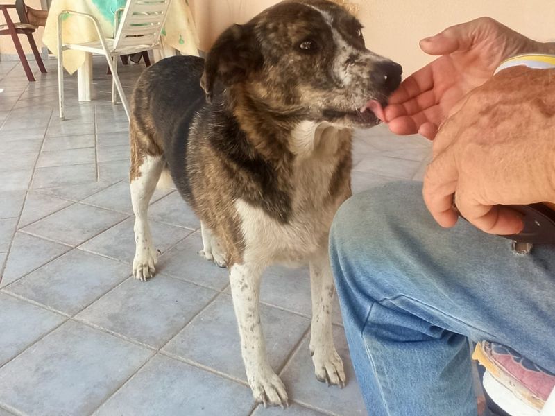 Dappere Myrtali vraagt een beetje aandacht en veel liefde