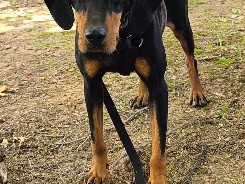 Met of zonder kids – Aspa past in jouw gezinspuzzel.