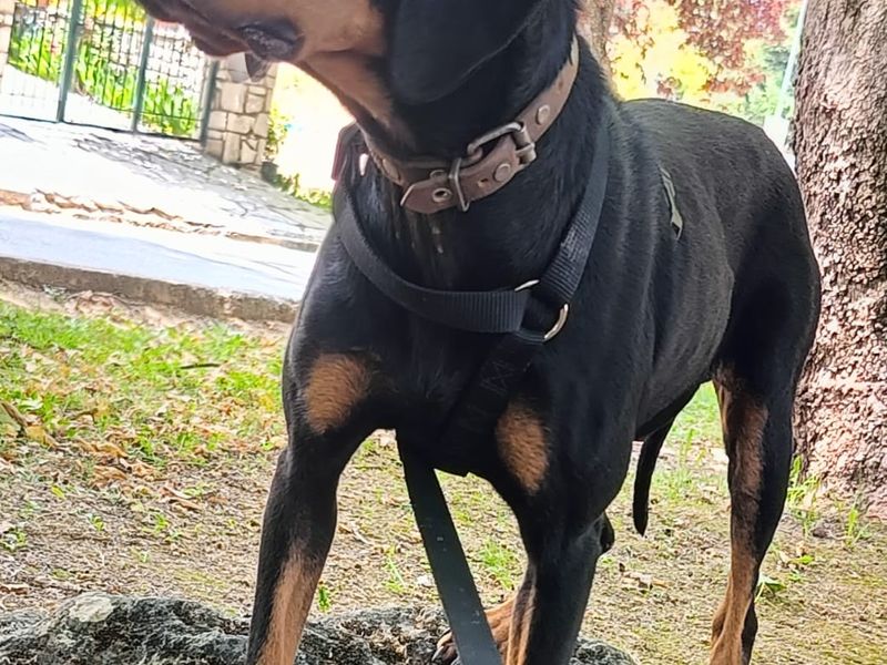 Met of zonder kids – Aspa past in jouw gezinspuzzel.