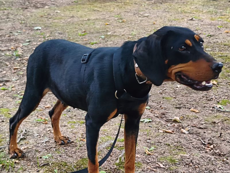 Met of zonder kids – Aspa past in jouw gezinspuzzel.