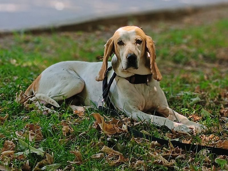 Jessy – van vergeten naar geliefd!