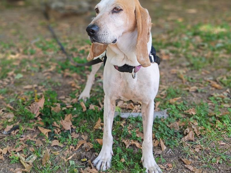 Jessy – van vergeten naar geliefd!