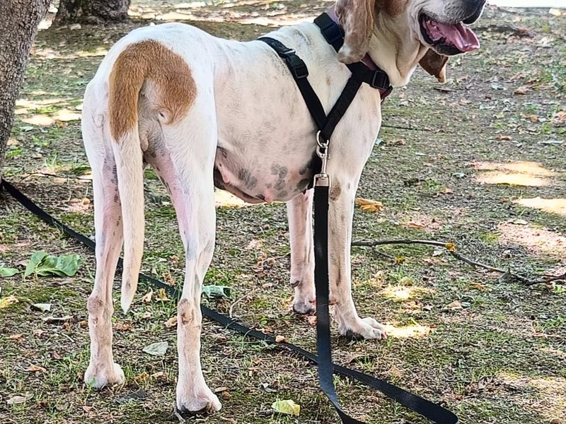 Jessy – van vergeten naar geliefd!