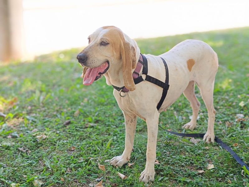 Jessy – van vergeten naar geliefd!