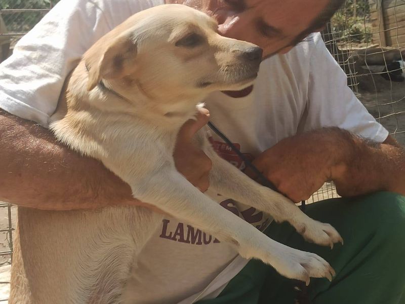  Niet waaks, wel hartverwarmend: ontdek Fidel!