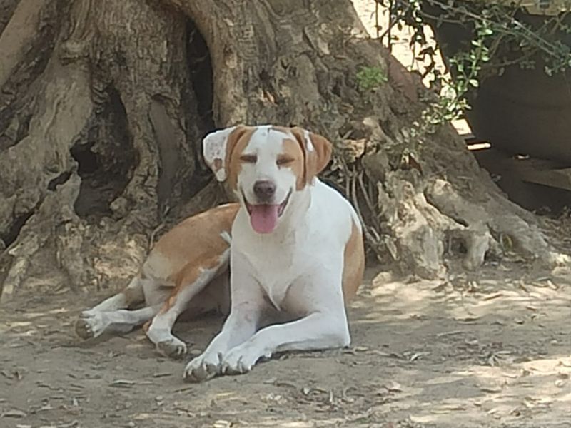 Mooie  Blance zoek haar huisje 