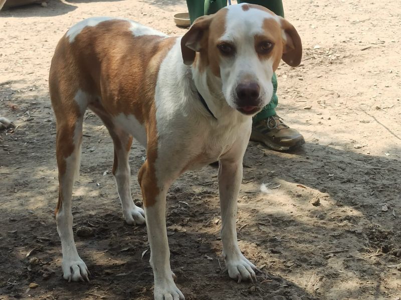 Mooie  Blance zoek haar huisje 