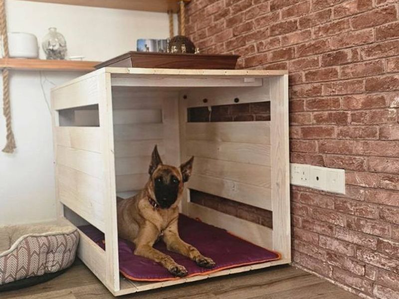 Sofia: knap koppie, gouden hart – wie mag haar beste vriend worden?