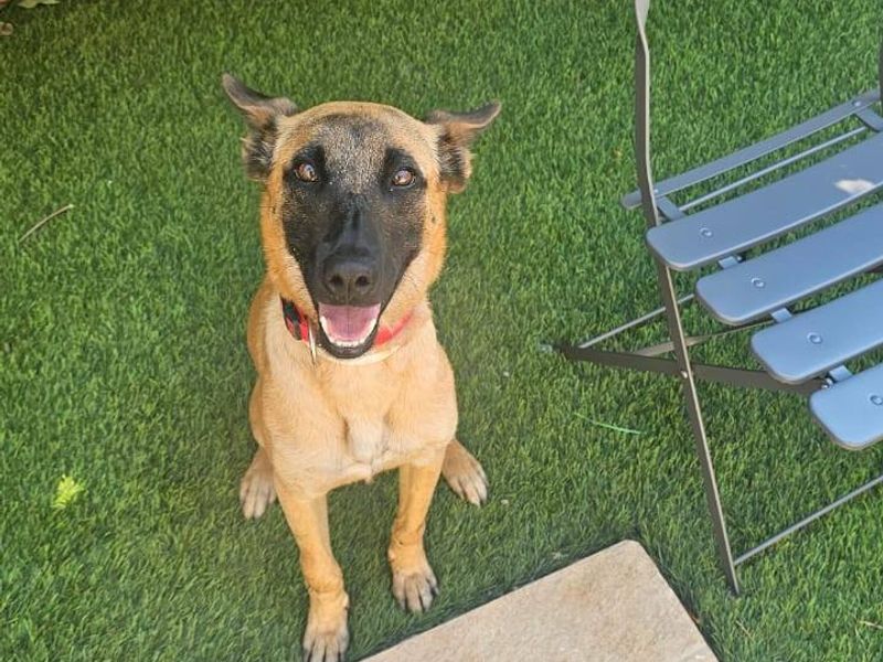 Sofia: knap koppie, gouden hart – wie mag haar beste vriend worden?