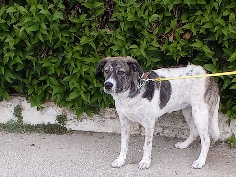 Margo een bescheiden lieverd 