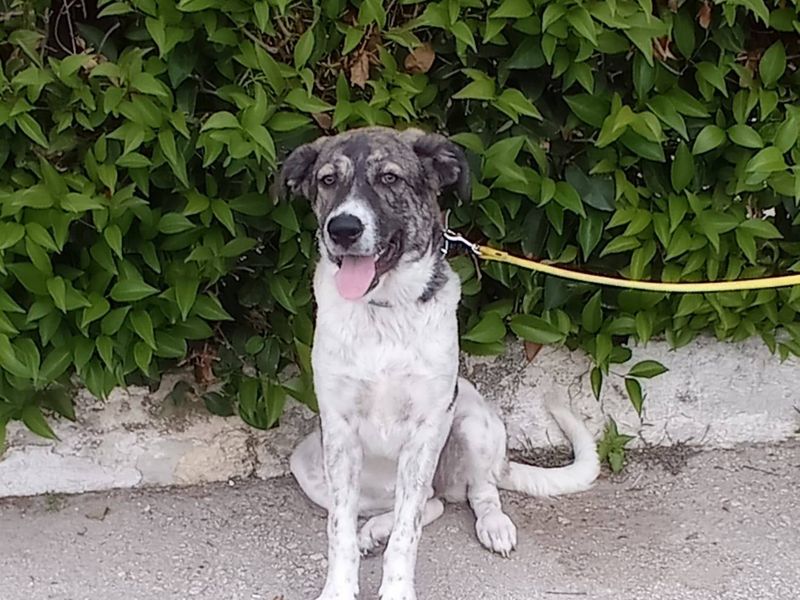 Margo een bescheiden lieverd 