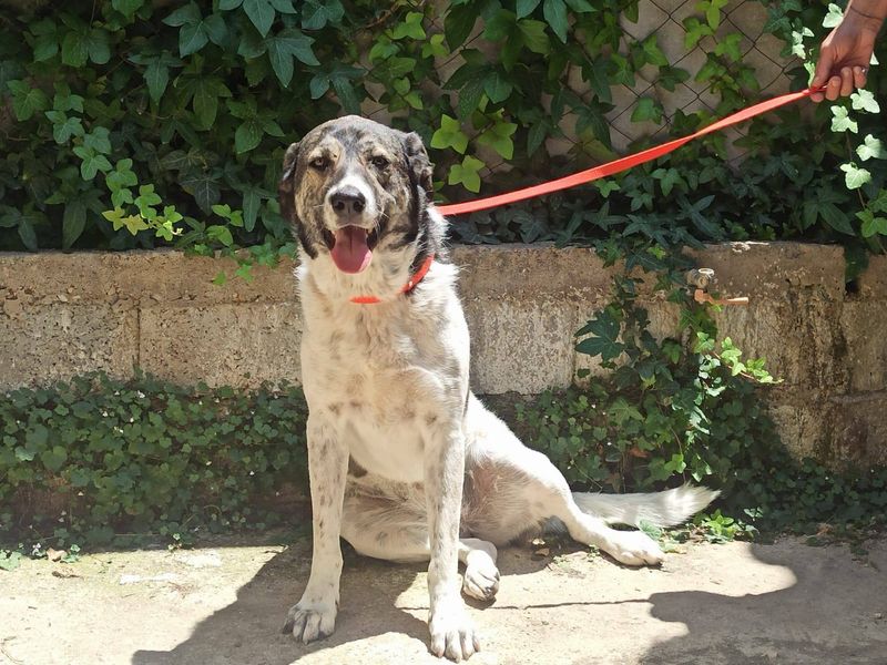 Margo een bescheiden lieverd 